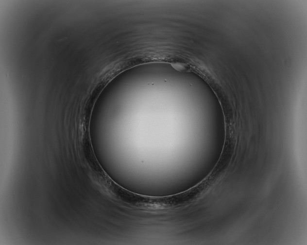 X0000086320741200704131653