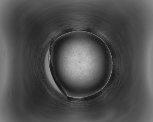 X0000086320742200704131653