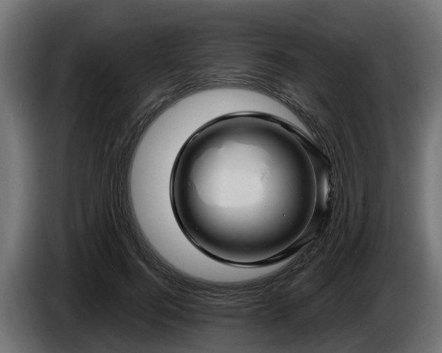 X0000086320744200704131653