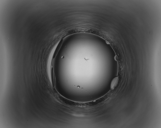 X0000086320745200704131653