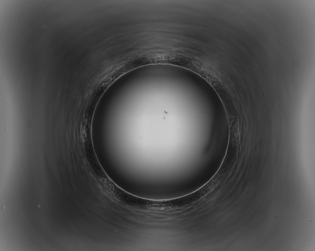 X0000086320746200704131653