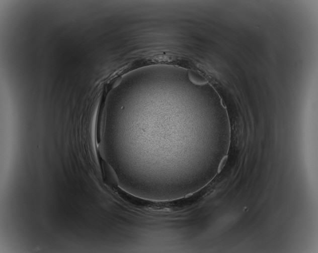 X0000086320747200704131653