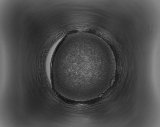 X0000086320748200704131653