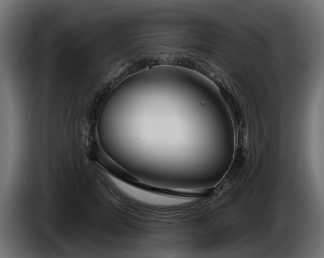 X0000086320750200704131653