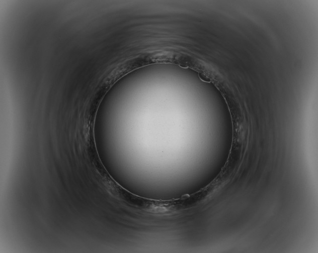 X0000086320753200704131653