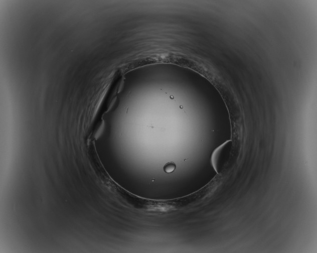 X0000086320754200704131653