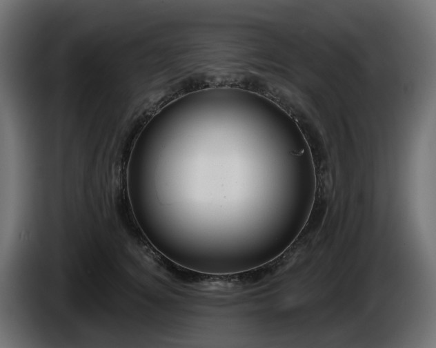 X0000086320756200704131653