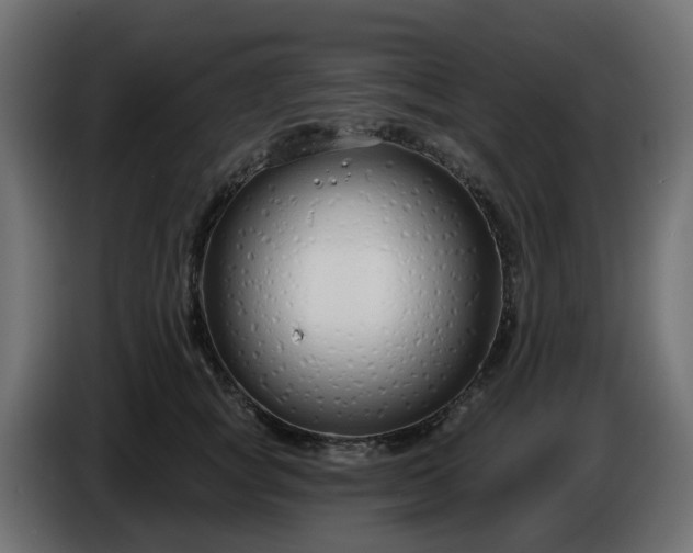 X0000086320757200704131653