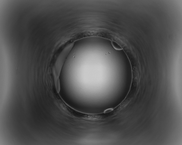 X0000086320758200704131653