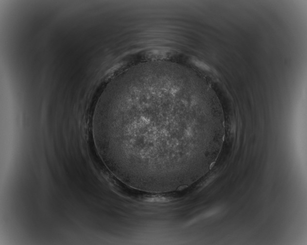 X0000086320759200704131653