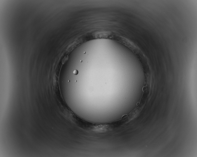 X0000086320761200704131653