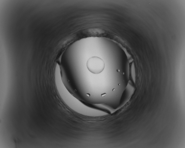 X0000086320762200704131653