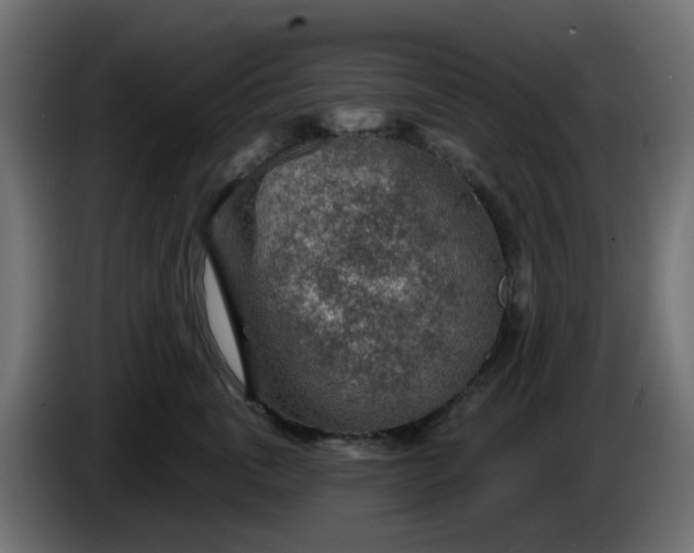 X0000086320763200704131653