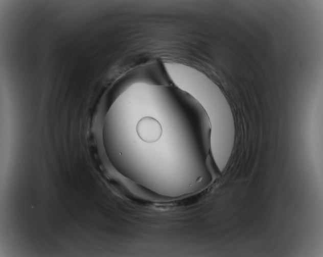 X0000086320764200704131653