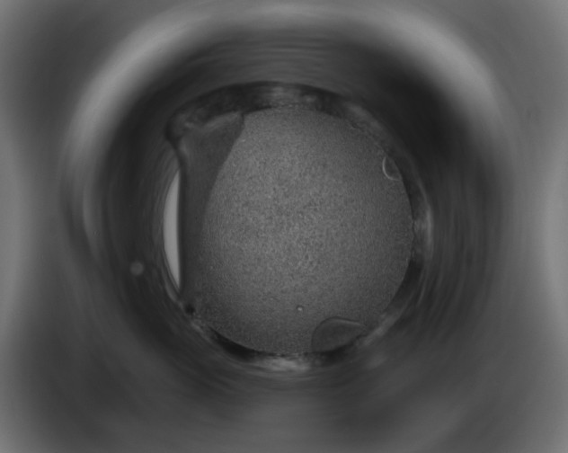 X0000086320765200704131653