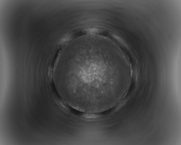 X0000086320766200704131653