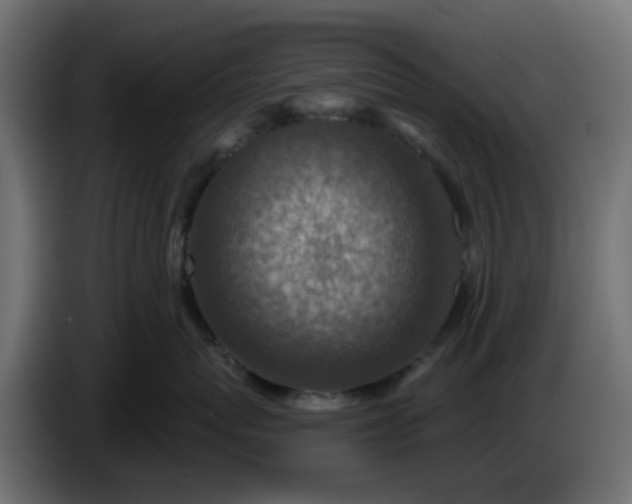 X0000086320767200704131653