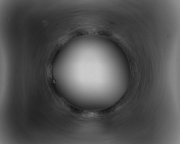 X0000086320768200704131653