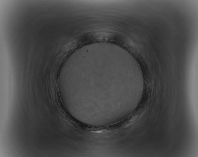 X0000086320769200704131653