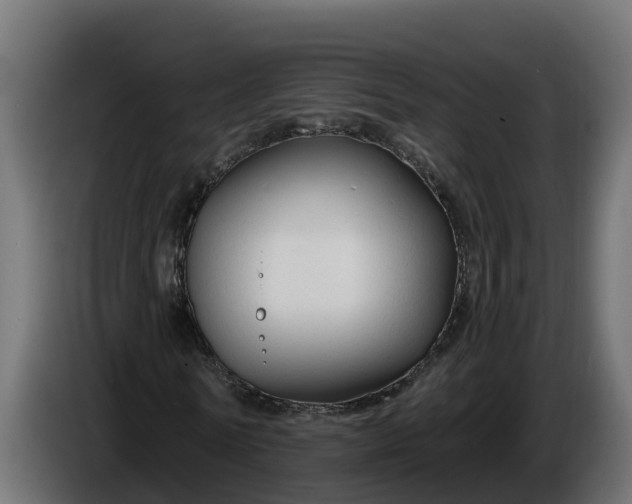 X0000086320770200704131652