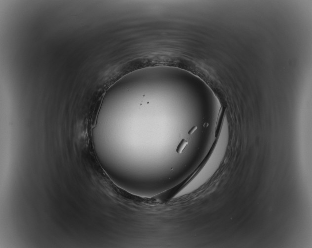 X0000086320771200704131652