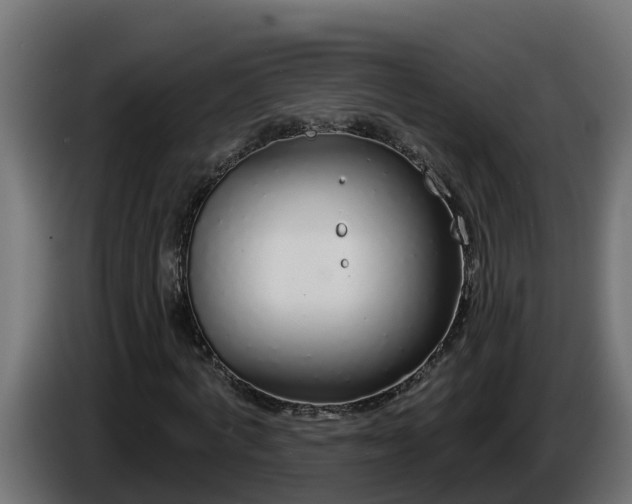 X0000086320772200704131652