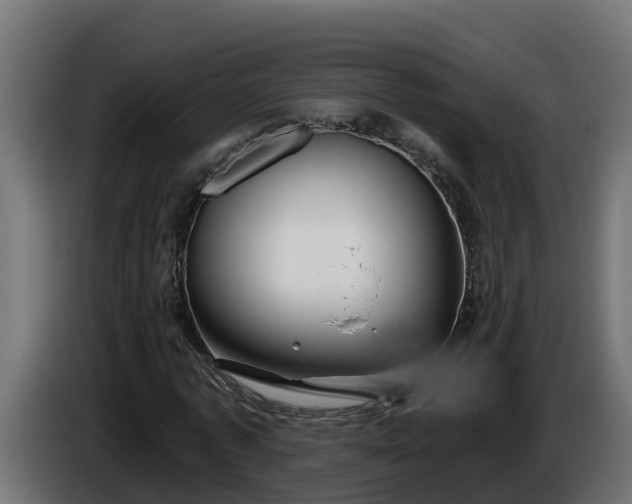 X0000086320773200704131652