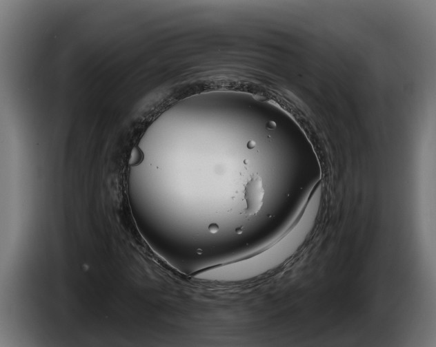 X0000086320774200704131652