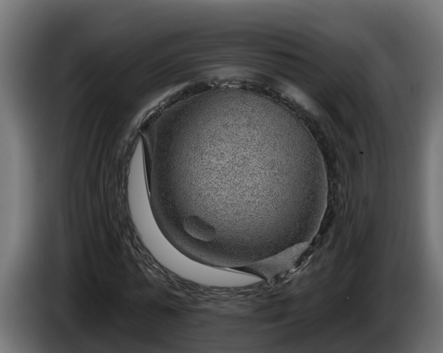 X0000086320775200704131652