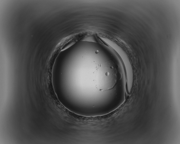 X0000086320776200704131652