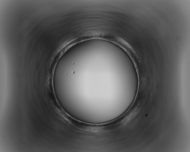 X0000086320778200704131652