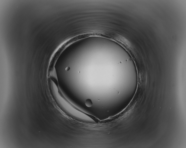 X0000086320780200704131652