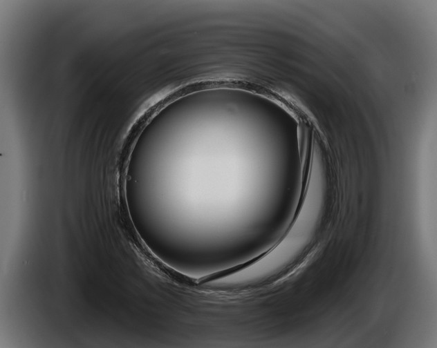 X0000086320781200704131652