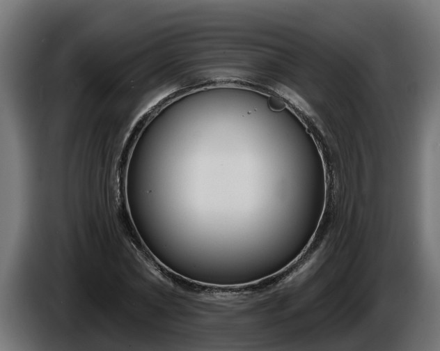 X0000086320782200704131652