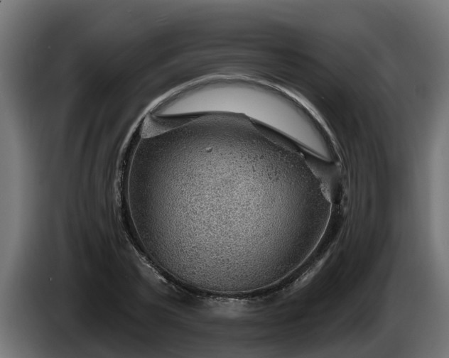 X0000086320783200704131652