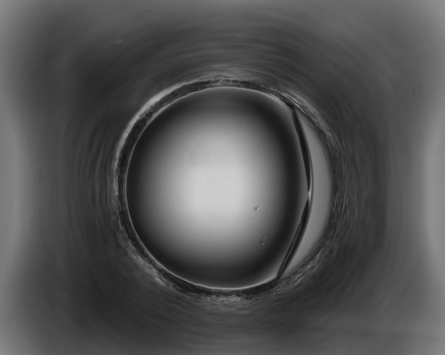 X0000086320784200704131652