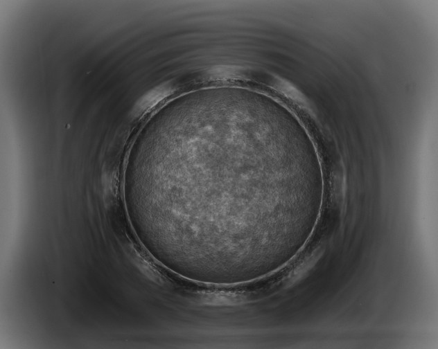 X0000086320785200704131652