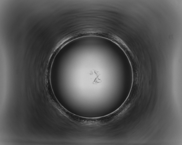 X0000086320786200704131652