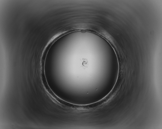 X0000086320787200704131652