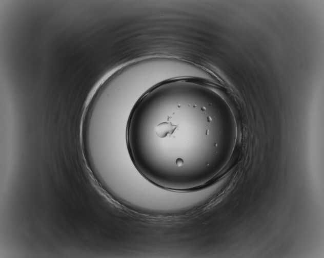 X0000086320788200704131652