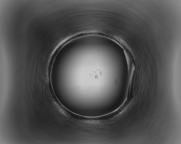 X0000086320789200704131652