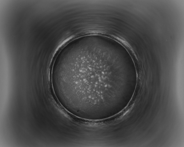 X0000086320790200704131652