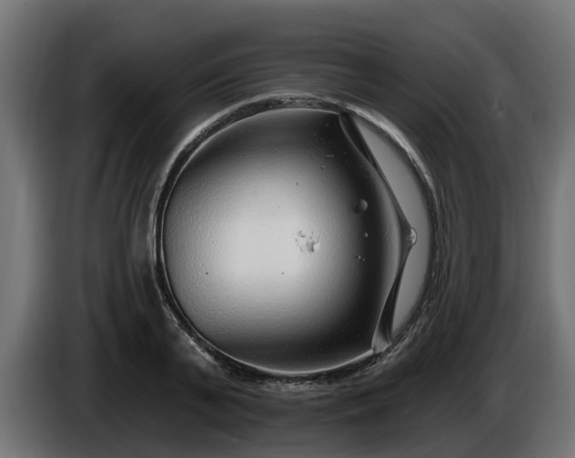 X0000086320791200704131652