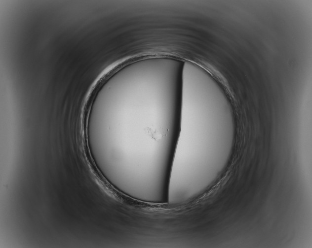 X0000086320792200704131652