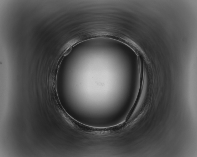 X0000086320793200704131652