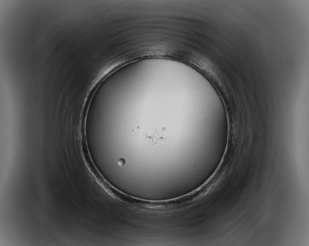 X0000086320794200704131652