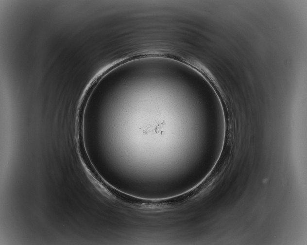 X0000086320795200704131652