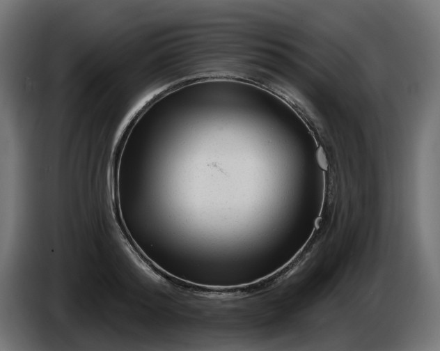 X0000086320796200704131652