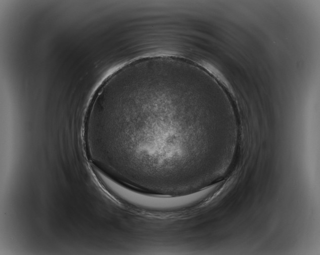 X0000086320797200704131652