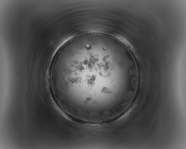 X0000086320798200704131652